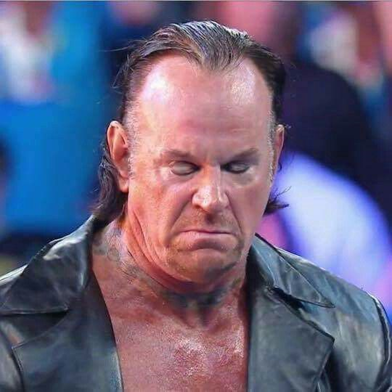 Seven-time WWE World Champion The Undertaker recently made an appearance du...