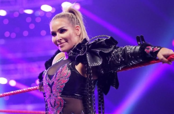 Natalya Added To Women’s Ladder Match At WWE Money In The Bank Pay-Per ...