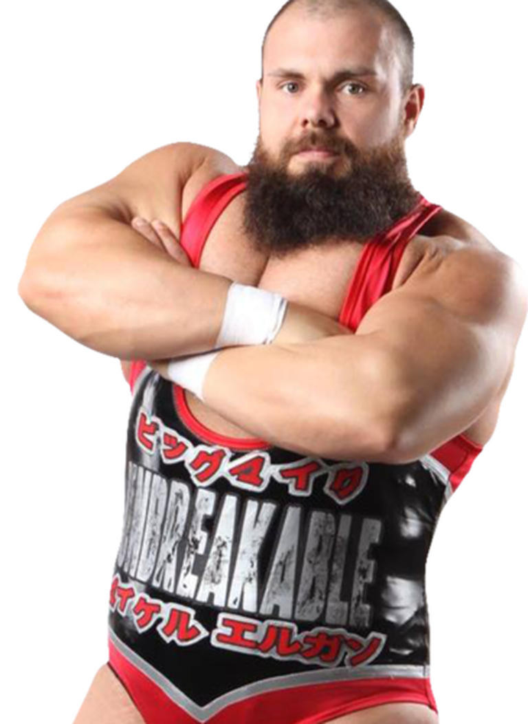 michael elgin