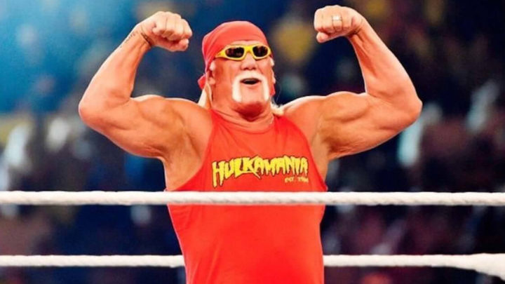 hulk hogan aew