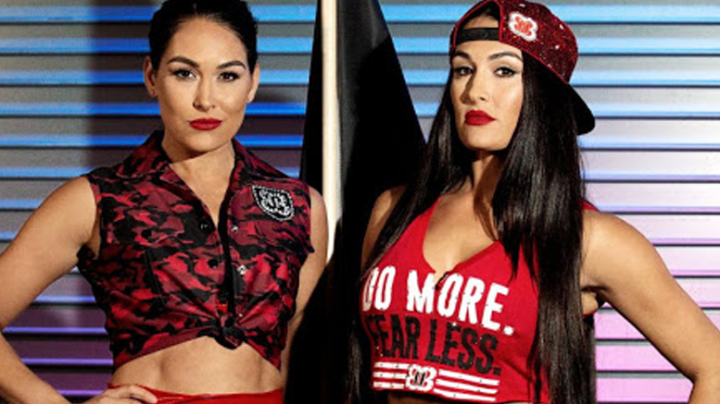 wwe bella twins dolls