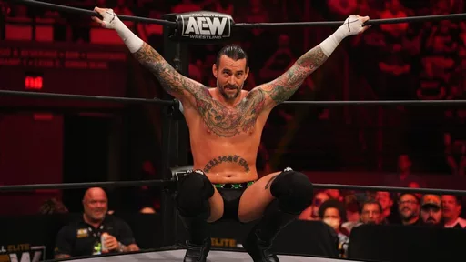 Jim Ross Reveals Why He Still Wishes AEW Had Kept CM Punk