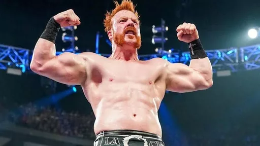 Eric Bischoff Reveals the Major Character Change He Wanted for Sheamus in WWE