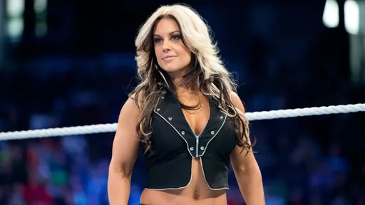 Kaitlyn Reflects on WWE Hazing and Being Left Off Total Divas