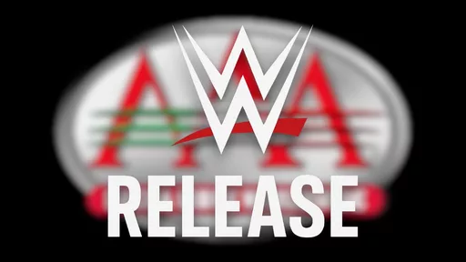 Lucha Libre AAA Star Released Following Fan Incident