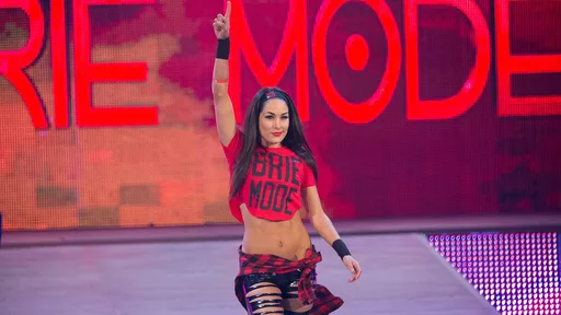 Brie Bella Addresses WWE Return Speculation
