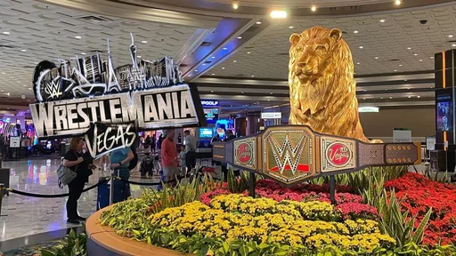 WWE Talent Raise Safety Concerns After Chaotic Hotel Scenes In Las Vegas