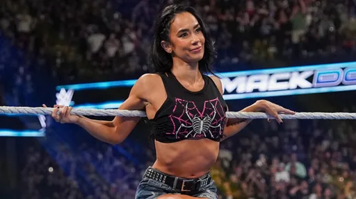 AJ Lee Not Taking WWE Break For Book Tour Despite Viral Social Media Post