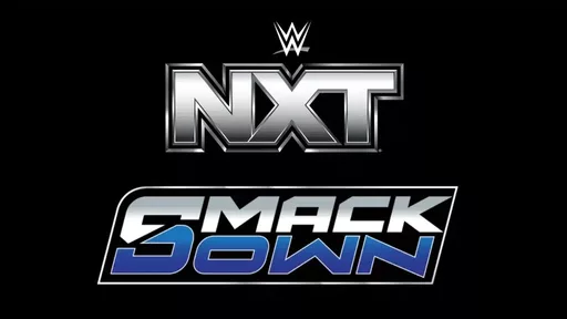 WWE NXT Standout Now Internally Listed On Main Roster
