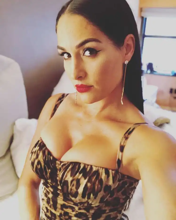 Nikki Bella shows off her abs after revealing a 'scary' brain cyst forced  her to retire from WWE