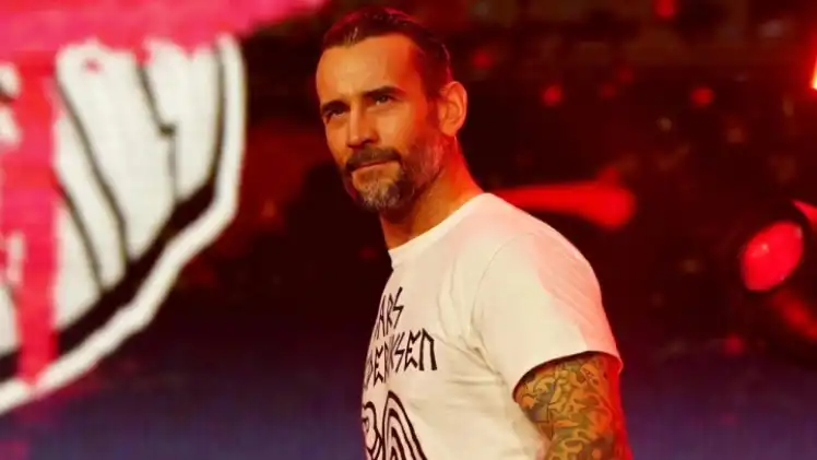 CM Punk removed from WWE roster